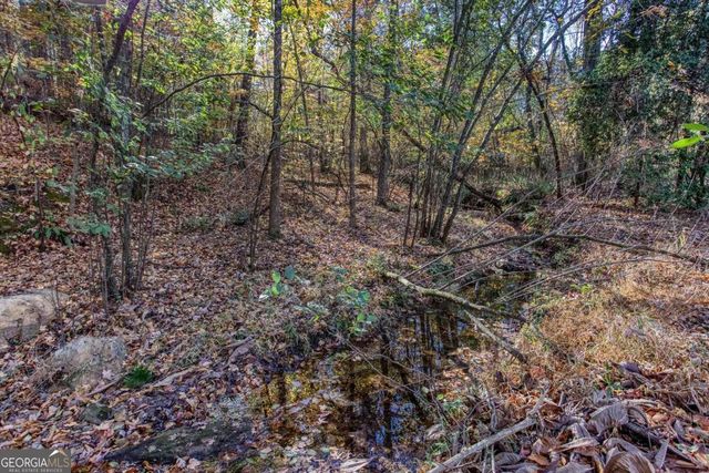 235 Peach Crossing Drive, Dallas, GA 30132