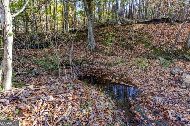 235 Peach Crossing Drive, Dallas, GA 30132