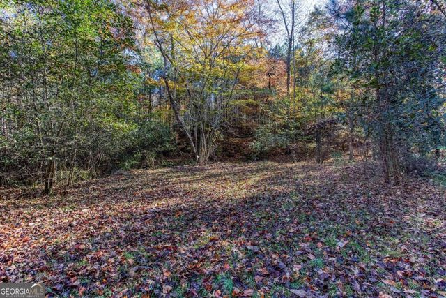 235 Peach Crossing Drive, Dallas, GA 30132