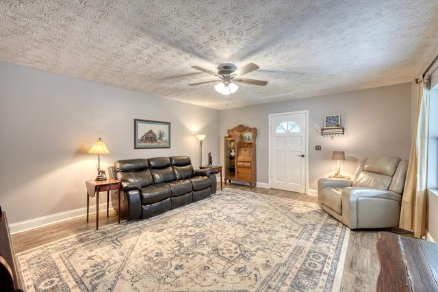 399 Pack Creek Road, Blue Ridge, GA 30513