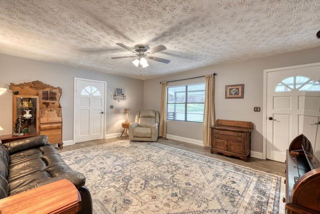 399 Pack Creek Road, Blue Ridge, GA 30513