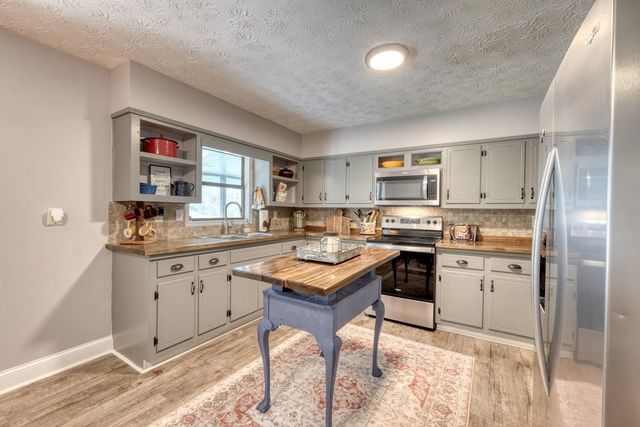 399 Pack Creek Road, Blue Ridge, GA 30513