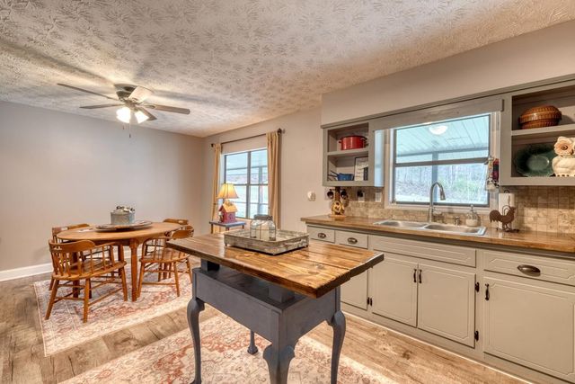 399 Pack Creek Road, Blue Ridge, GA 30513