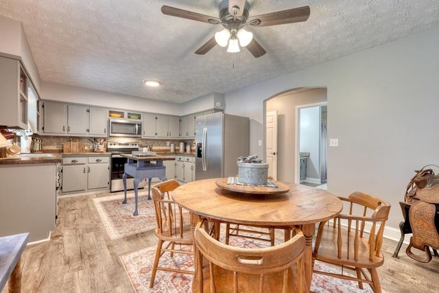 399 Pack Creek Road, Blue Ridge, GA 30513