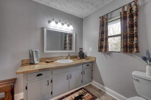 399 Pack Creek Road, Blue Ridge, GA 30513