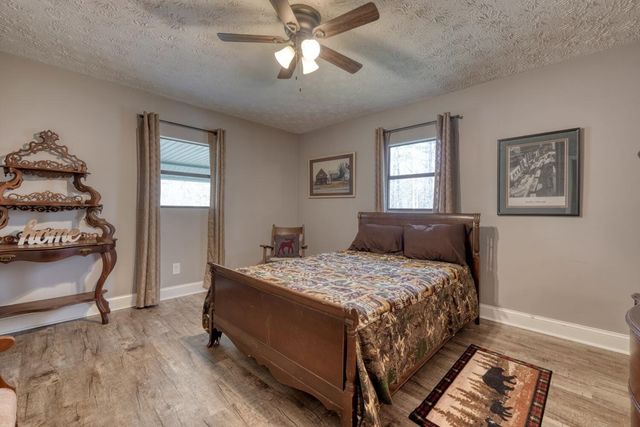 399 Pack Creek Road, Blue Ridge, GA 30513