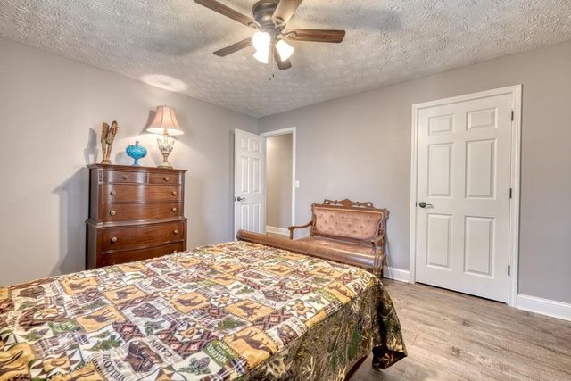 399 Pack Creek Road, Blue Ridge, GA 30513