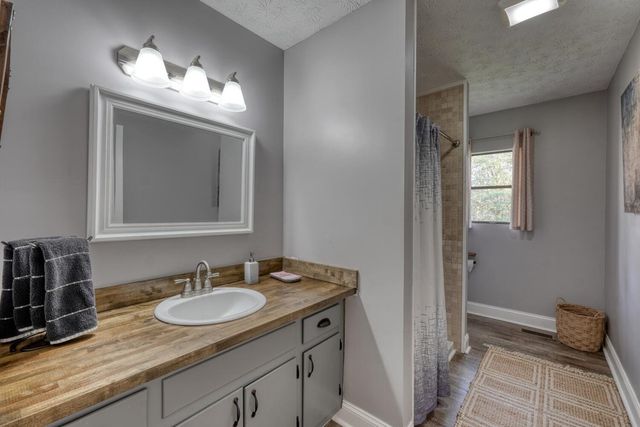 399 Pack Creek Road, Blue Ridge, GA 30513