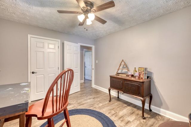 399 Pack Creek Road, Blue Ridge, GA 30513
