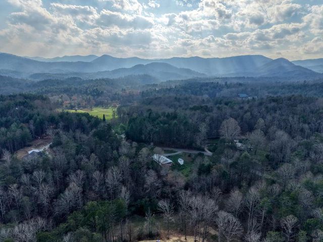 399 Pack Creek Road, Blue Ridge, GA 30513