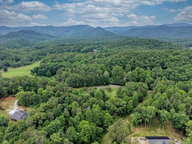 399 Pack Creek Road, Blue Ridge, GA 30513
