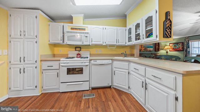 54 WHITE PINE DR, Millsboro, DE 19966