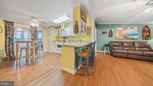 54 WHITE PINE DR, Millsboro, DE 19966