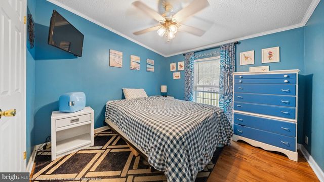 54 WHITE PINE DR, Millsboro, DE 19966