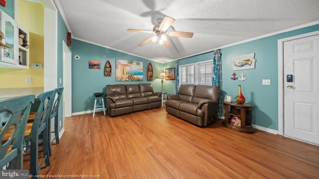 54 WHITE PINE DR, Millsboro, DE 19966