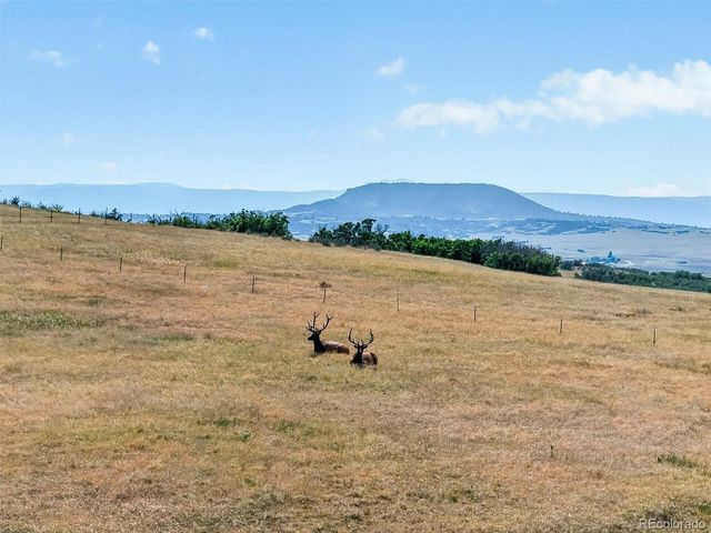 227 Scrubjay Lane, Castle Rock, CO 80104