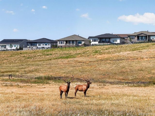 227 Scrubjay Lane, Castle Rock, CO 80104