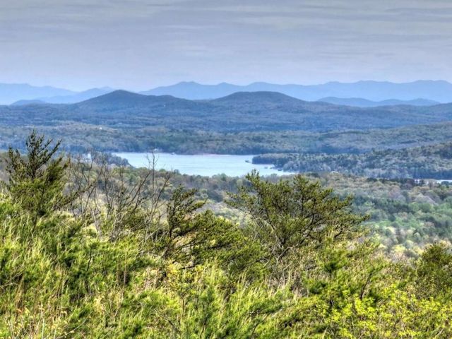 346 Spirit Mountain Road, Blue Ridge, GA 30513