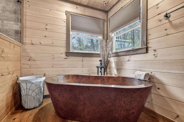 346 Spirit Mountain Road, Blue Ridge, GA 30513