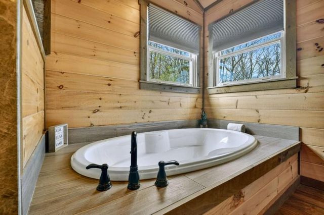 346 Spirit Mountain Road, Blue Ridge, GA 30513