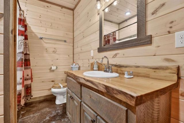 346 Spirit Mountain Road, Blue Ridge, GA 30513
