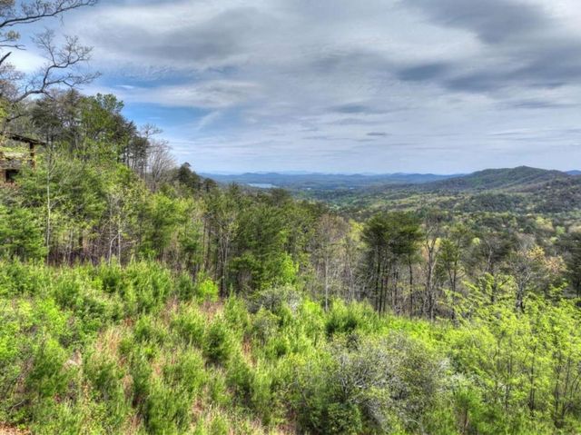 346 Spirit Mountain Road, Blue Ridge, GA 30513