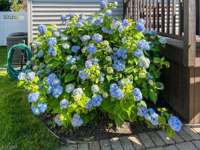 57 Union St, Hawthorne Boro, NJ 07506