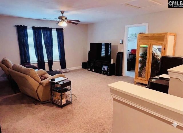 620 Chatham Way, Chapin, SC 29036