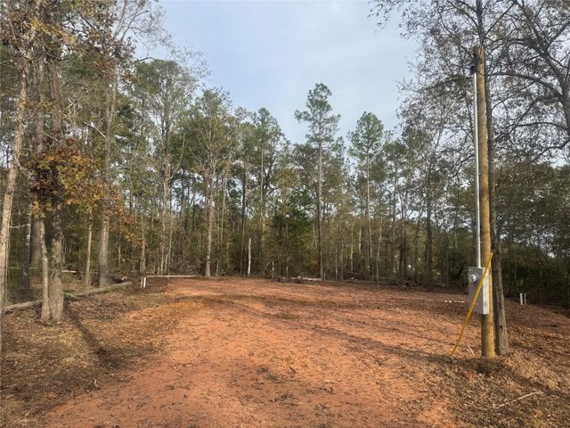 197 Alta Vista Drive, Livingston, TX 77351