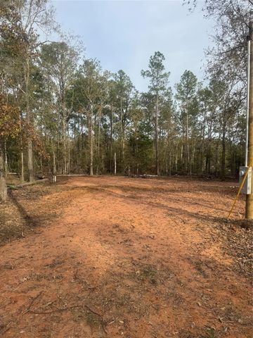 197 Alta Vista Drive, Livingston, TX 77351