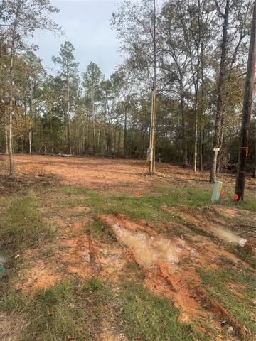 197 Alta Vista Drive, Livingston, TX 77351