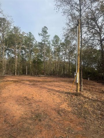 197 Alta Vista Drive, Livingston, TX 77351