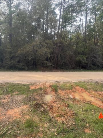 197 Alta Vista Drive, Livingston, TX 77351