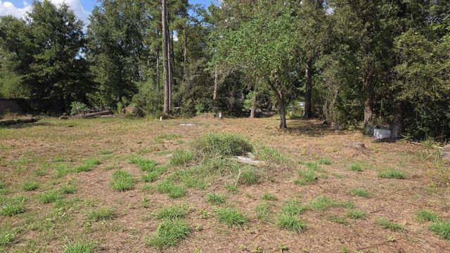 1610 Black Bear Drive, Crosby, TX 77532