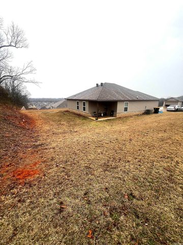 11 Erwin Drive, Austin, AR 72007