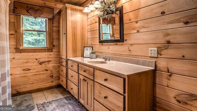 1630 Black Ankle Creek Road, Blue Ridge, GA 30513