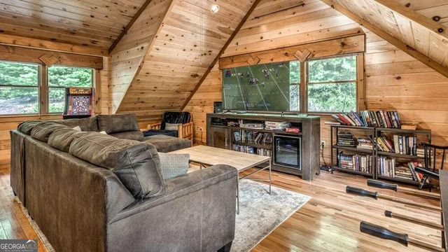 1630 Black Ankle Creek Road, Blue Ridge, GA 30513