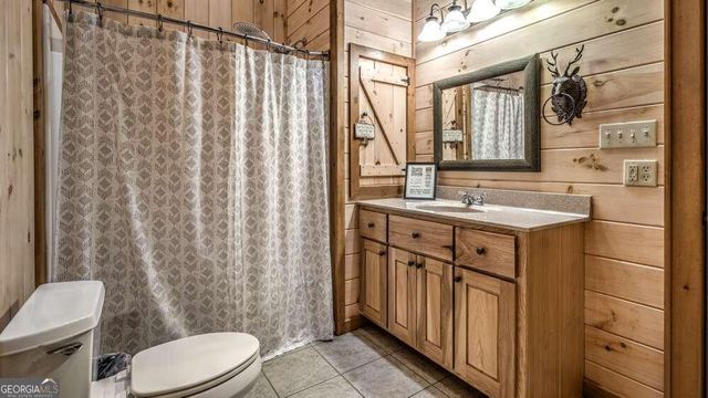 1630 Black Ankle Creek Road, Blue Ridge, GA 30513