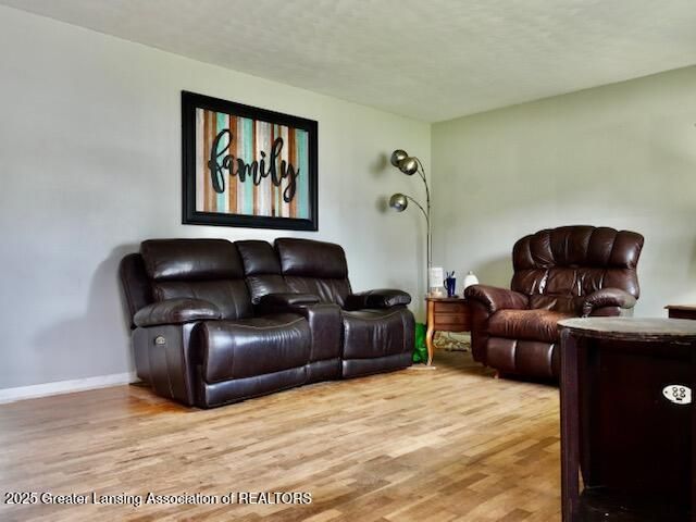 1858 Hall Street, Holt, MI 48842