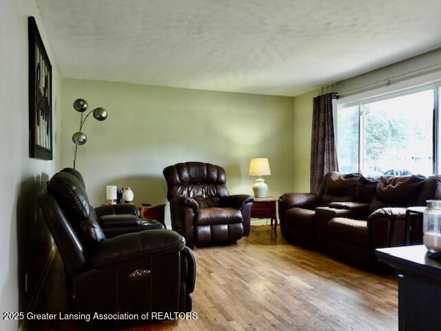 1858 Hall Street, Holt, MI 48842