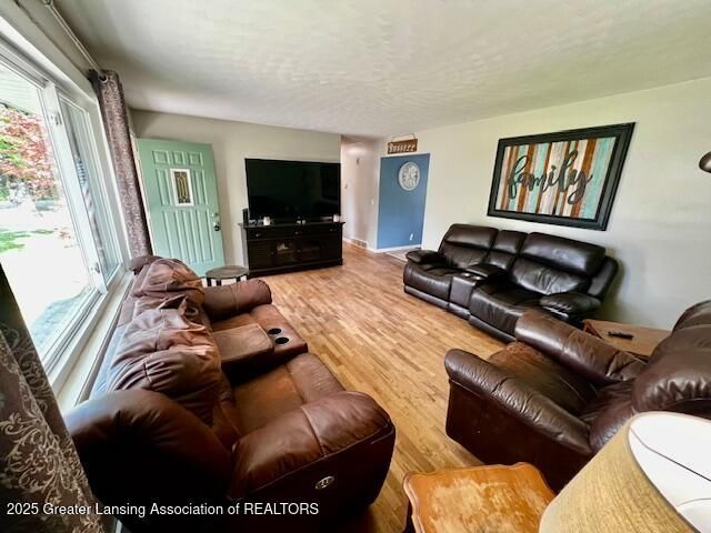 1858 Hall Street, Holt, MI 48842