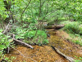 17 Acres Mulky Branch Lane, Blairsville, GA 30512