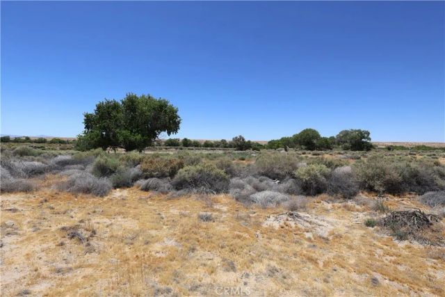 0 Bryman Road, Oro Grande, CA 92368
