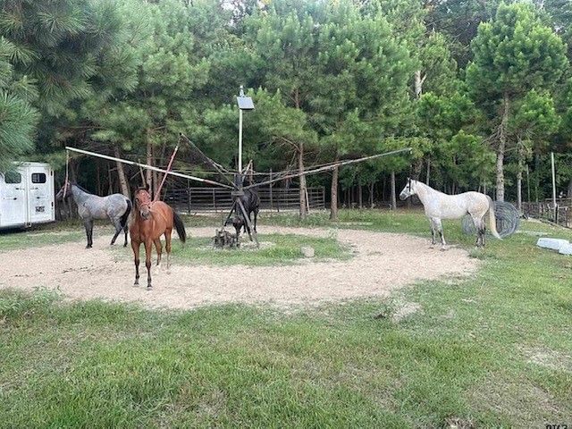 8261 County Road 381, Tyler, TX 75708