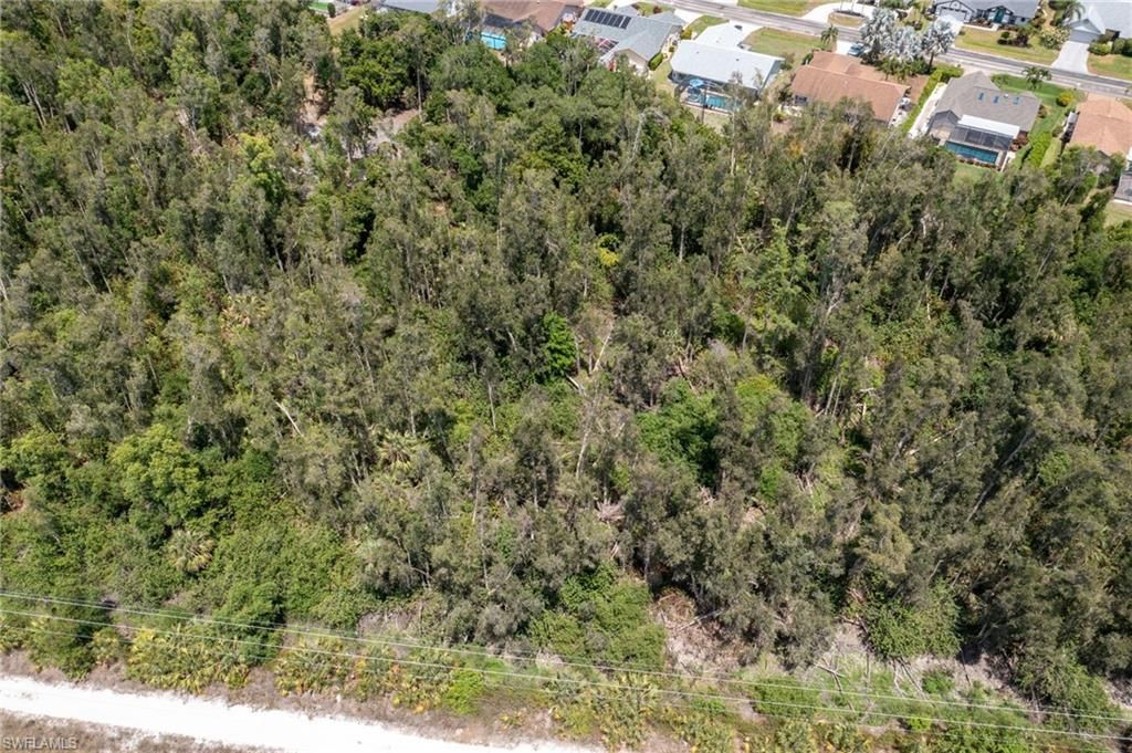 Tropicana AVE, ESTERO, FL 33928 — photo 4