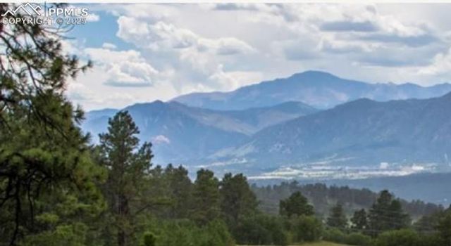 17147 Copper Valley Court, Monument, CO 80132