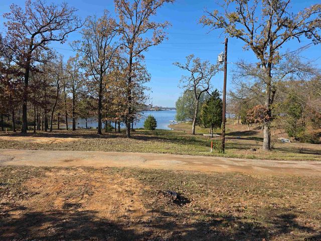1064 Indian Gap, Quitman, TX 75783
