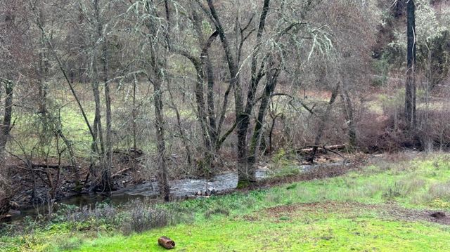 10165 Cave City Rd, Mountain Ranch, CA 95246