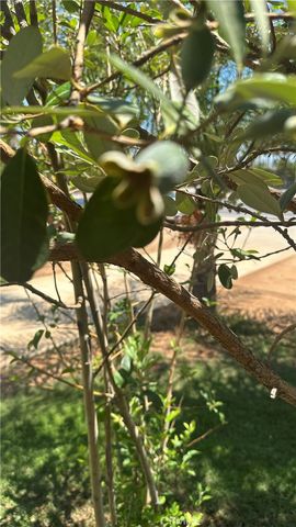 11073 Arlington Avenue, Riverside, CA 92505