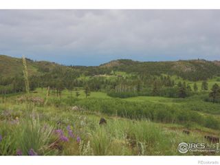 14884 Rist Canyon Road, Bellvue, CO 80512